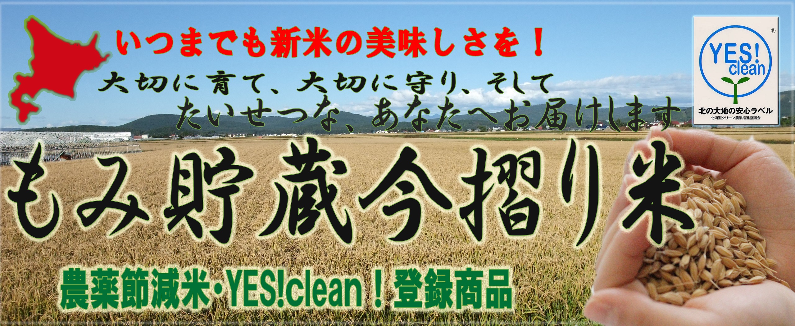 もみ貯蔵今摺り米