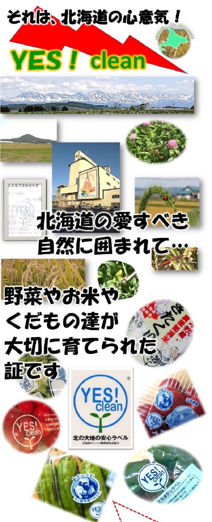 イエスクリーン